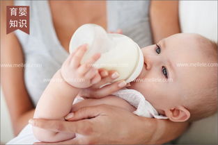 母嬰生活護理 科學育兒，守護新生旅程