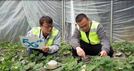 湖北通信業邁入“物超人”時代 前7月物聯網卡用戶激增66.8%領跑全國，智能水務系統開發成關鍵引擎